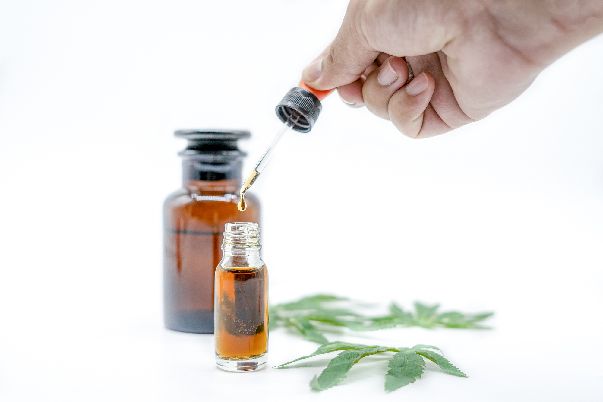 cbd oil