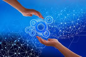 Why Trust in Institutions Is Falling and What Might Fix It